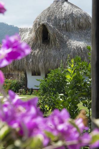 Palomino Breeze Hostal
