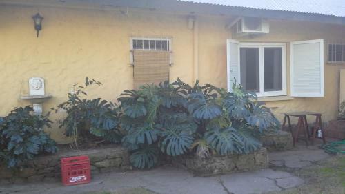 Bed & Breakfast Mi Rincon