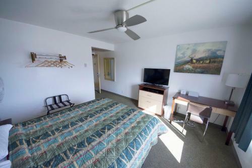 Motel Rewak Studios
