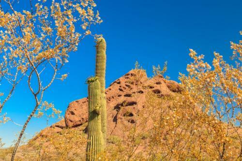 Pinnacle Peak