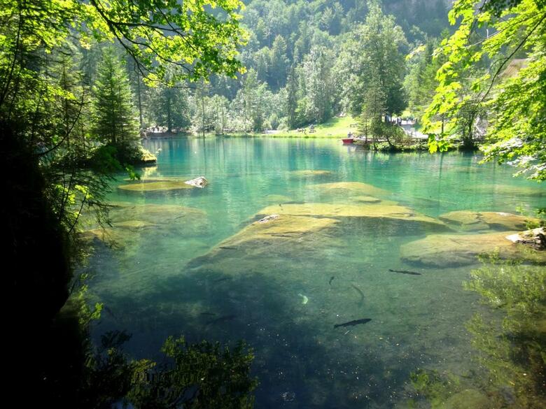 Parkhotel Du Sauvage