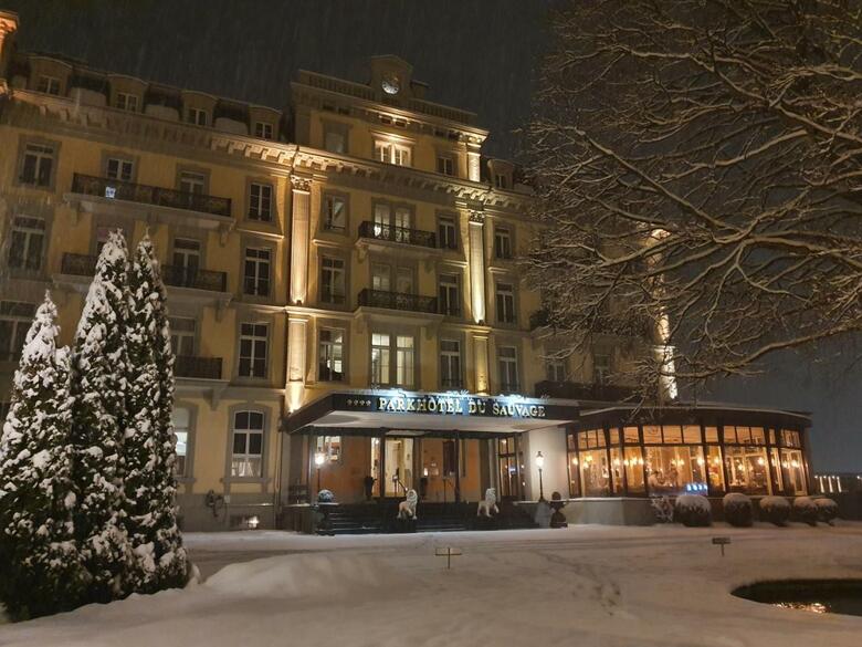 Parkhotel Du Sauvage