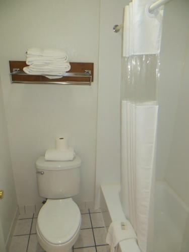 Silver Saddle Motel