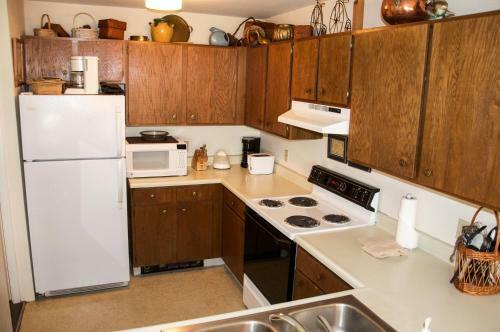 Apartamento Ski Getaway Condo In Pitkin Creek Park