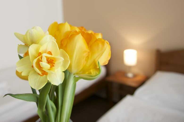 Karlin Hotel