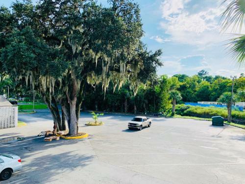 Motel Value Lodge - Gainesville