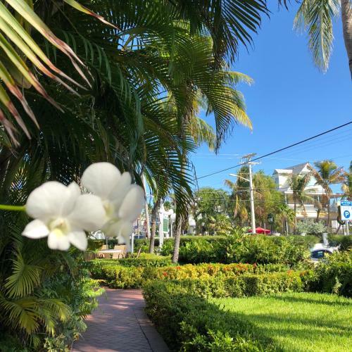 Bed & Breakfast Southernmost Point Guest House