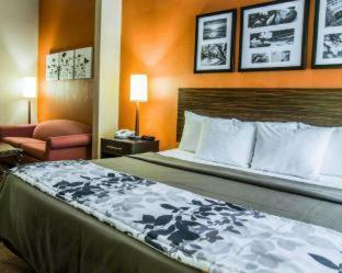 Hotel Sleep Inn & Suites Lakeland