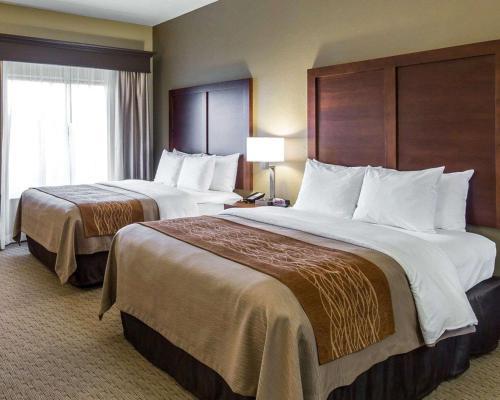 Hotel Comfort Inn & Executive Suites Naples