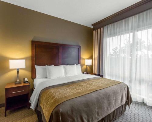 Hotel Comfort Inn & Executive Suites Naples