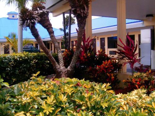 Motel Budget Inn Of Okeechobee