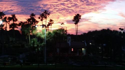 Driftwood Beach Motel