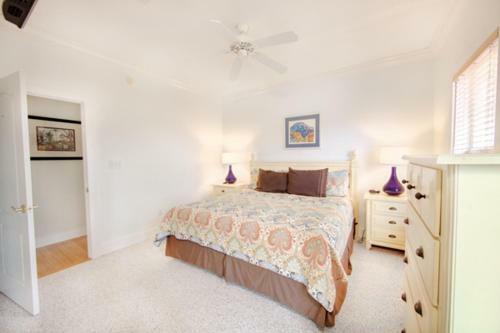 Apartamento Purple Parrot 9c