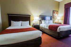 Hotel Comfort Inn & Suites Maingate South