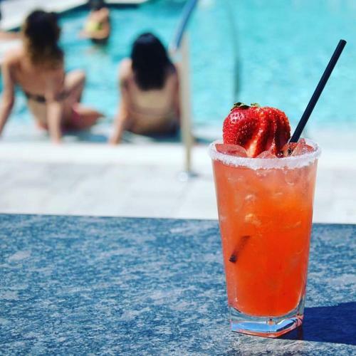 Hollander Hotel - Downtown St. Petersburg