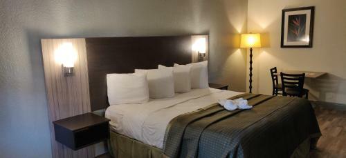 Motel Rodeway Inn & Suites Tampa