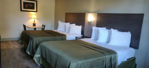 Motel Rodeway Inn & Suites Tampa