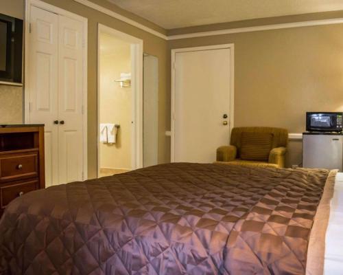 Motel Rodeway Inn & Suites Tampa