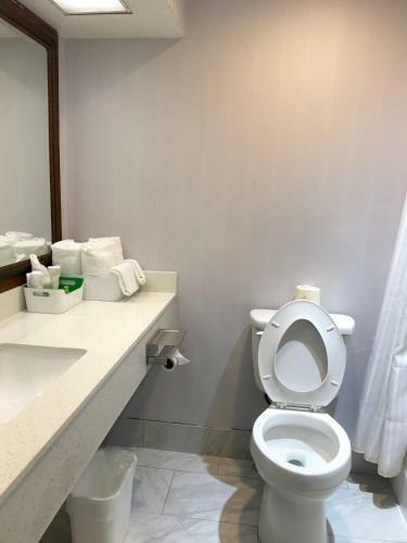 Motel Americas Best Value Inn - Downtown/ Midtown