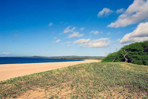 Redawning Kimo's Hale