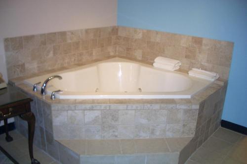 Motel Regency Inn Of Naperville