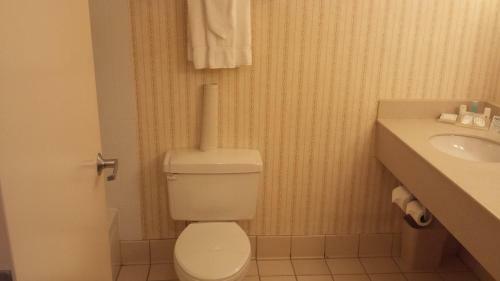 Hotel Clarion Inn South Holland