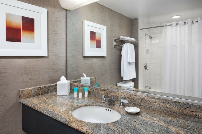 Hotel Hyatt Rosemont Near O'hare