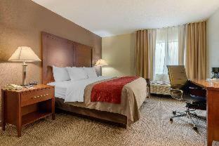 Hotel Comfort Inn