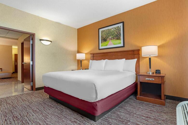 Hotel Drury Inn And Suites Baton Rouge