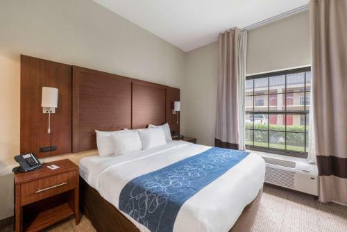 Hotel Comfort Suites Monroe