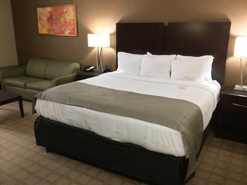 Hotel Wyndham Garden Shreveport