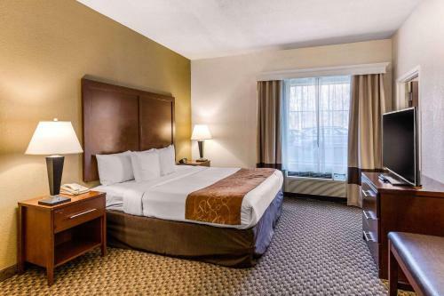 Hotel Comfort Suites Columbia Gateway