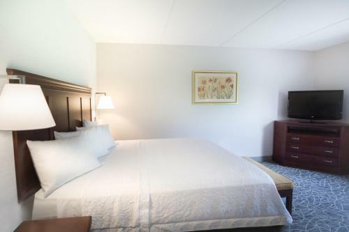 Hotel Hampton Inn & Suites Berkshires-lenox