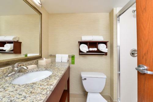 Hotel Hampton Inn Detroit/auburn Hills South
