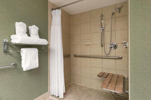 Crowne Plaza Hotels & Resorts Auburn Hills