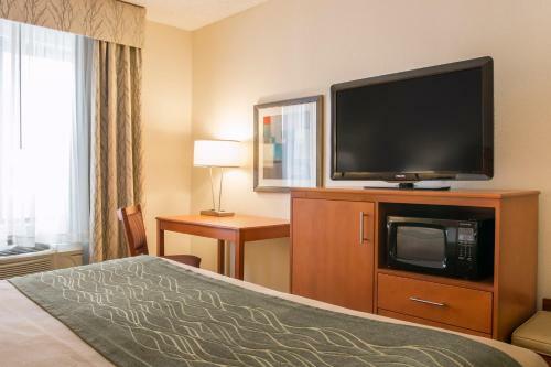Hotel Comfort Inn Metro Airport Romulus