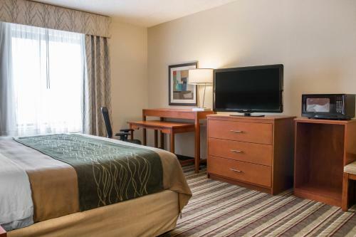 Hotel Comfort Inn Metro Airport Romulus