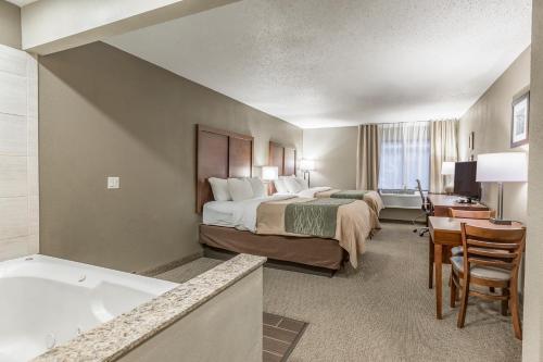 Hotel Comfort Inn