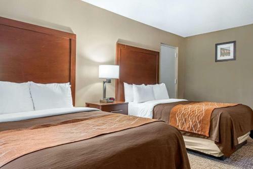 Hotel Comfort Inn Airport Bloomington