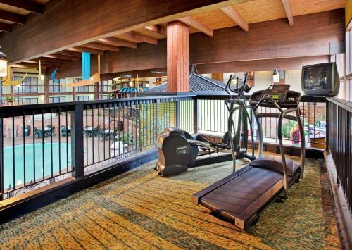 Hotel Holiday Inn At Six Flags Saint Louis