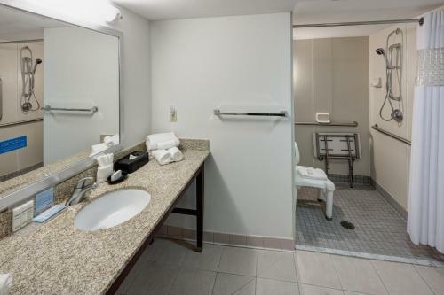 Hotel Hampton Inn St Louis- At The Arch