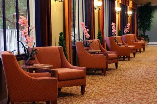Aparthotel Jockey Club Suites