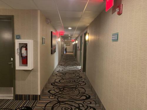 Hotel Red Carpet Inn Elmwood