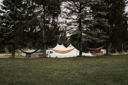 Firelight Camps