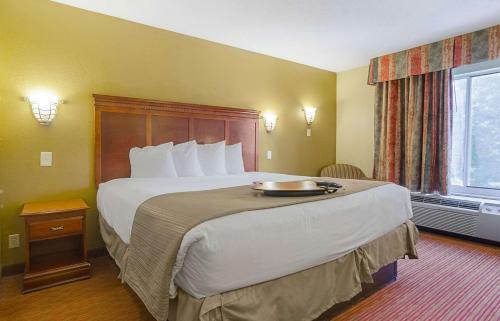 Hotel Quality Inn & Suites Medical Park