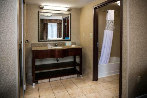 Hotel Hampton Inn & Suites Toledo-perrysburg
