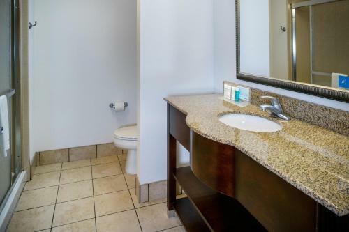 Hotel Hampton Inn & Suites Toledo-perrysburg