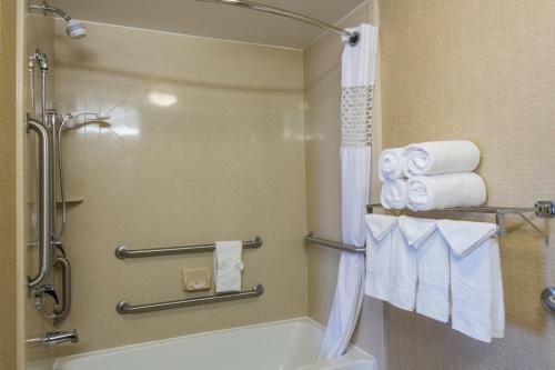 Hotel Hampton Inn & Suites Toledo-perrysburg