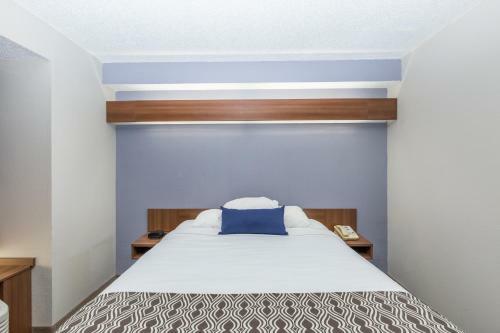 Hotel Microtel Inn & Suites By Wyndham Sioux Falls