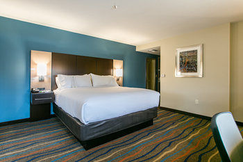 Holiday Inn Hotel & Suites Chattanooga